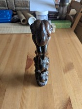 Weeping buddhas hand for sale  TAUNTON