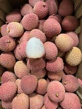 Large lychee litchi for sale  LONDON