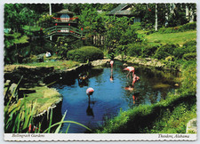 Cartão postal Bellingrath Gardens rosa flamingos Theodore Alabama 4x6 continental C32 comprar usado  Enviando para Brazil