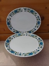 Midwinter. spanish garden. for sale  PLYMOUTH