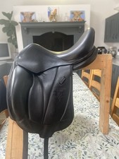 Voltaire adelaide dressage for sale  MORPETH