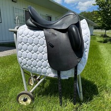 County epiphany dressage for sale  Allentown