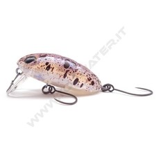 Nories boss pupa usato  Sant Angelo Romano