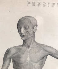 Antigua Fisiología Victoriana Anatomía Impresión Venas Nervios Placa Médica Grabado segunda mano  Embacar hacia Mexico