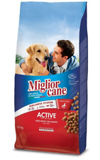 Miglior cane active usato  San Mauro Castelverde