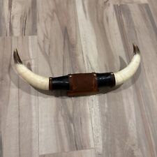 Mounted steer bull for sale  Chicago