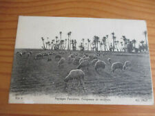 Cpa t6unisie paysages d'occasion  Prades