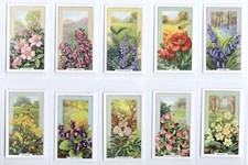 Wild flowers cigarette for sale  BRECON