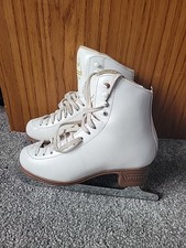 Jackson artiste ice for sale  BLACKPOOL
