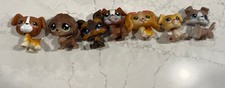 Hasbro lps littlest for sale  Coventry