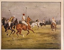 Horses hounds high for sale  DUNDEE