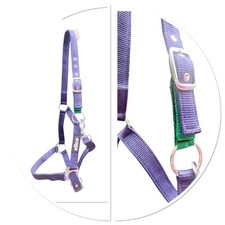 Field safe headcollar for sale  USK