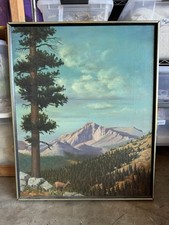 large trees landscaping for sale large trees landscaping for sale Santa Cruz
