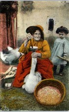 Gaveuse oie carte d'occasion  France