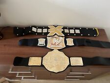 Wwe wrestling champion for sale  PETERBOROUGH