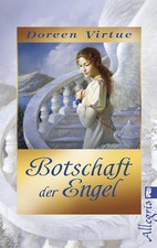 Botschaft engel gebraucht kaufen  Berlin
