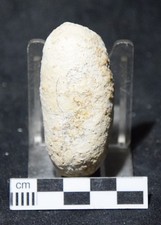Oeuf crocodile fossile d'occasion  Fénétrange