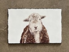 Herdwick sheep slate for sale  LEOMINSTER