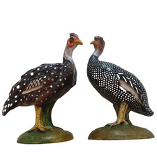 Carbet guinea hen for sale  Montrose
