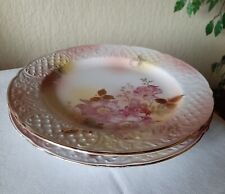 Speiseteller wild rose gebraucht kaufen  Steinwiesen