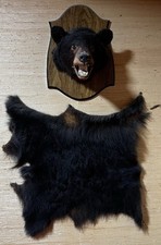 Reproduction black bear for sale  Lawsonville