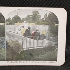 Feeding ducks kew for sale  Taft