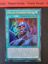 Ame guerrier ancien d'occasion  Argentan