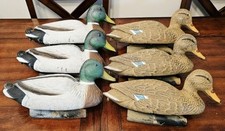 Vintage mallard drake for sale  Mount Washington