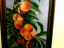 paint old 10 for sale paint old 10 for sale Houston