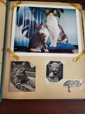 Vintage scrapbook 1930s for sale  Greenville