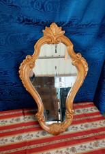 Specchio gesso dorato usato  Vivaro Romano