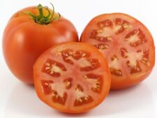 Burrell special tomato for sale  Snyder