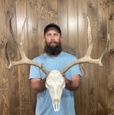 Dark perfect 6x4 for sale  Port Matilda