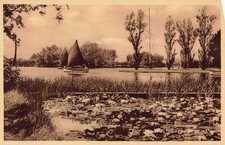 Vintage postcard meare for sale  BELFAST