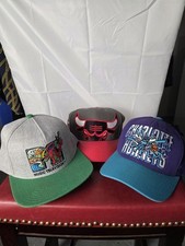 bulls hornets for sale bulls hornets for sale Princeton
