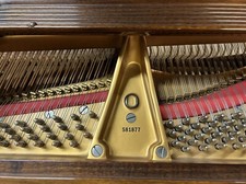 Rare beautiful rosewood for sale  Brooklyn