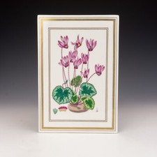 Royal worcester porcelain for sale  UK