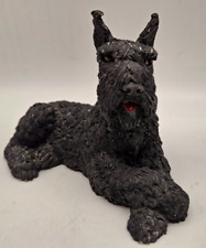 Black schnauzer dog for sale  Freeport