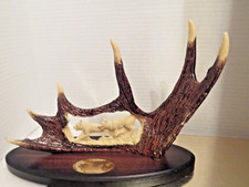 Decorative wolves wolf for sale  Goshen
