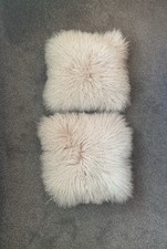 Paoletti two pale for sale  CHIPPENHAM