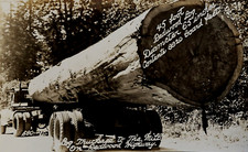 Real photo logging for sale  Tampa