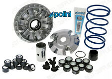 Polini performance variator d'occasion  Expédié en Belgium