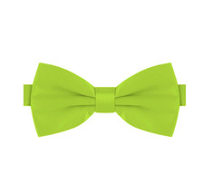 Papillon verde chiaro usato Papillon verde chiaro usato  Napoli