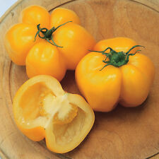 Tomato yellow stuffer d'occasion  Expédié en Belgium