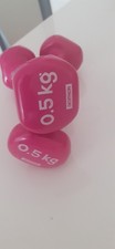 Manubri palestra rosa usato  Cernobbio