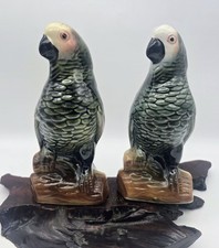 Lot decorative parakeet for sale  Belen