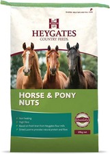 Heygates horse pony for sale  HUDDERSFIELD