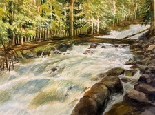Aquarellbild riginal 40x30 gebraucht kaufen  Heidelberg