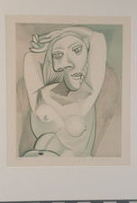 Pablo picasso estate gebraucht kaufen  Gröbenzell