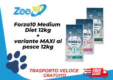 Forza medium maxi usato  Reggio Emilia